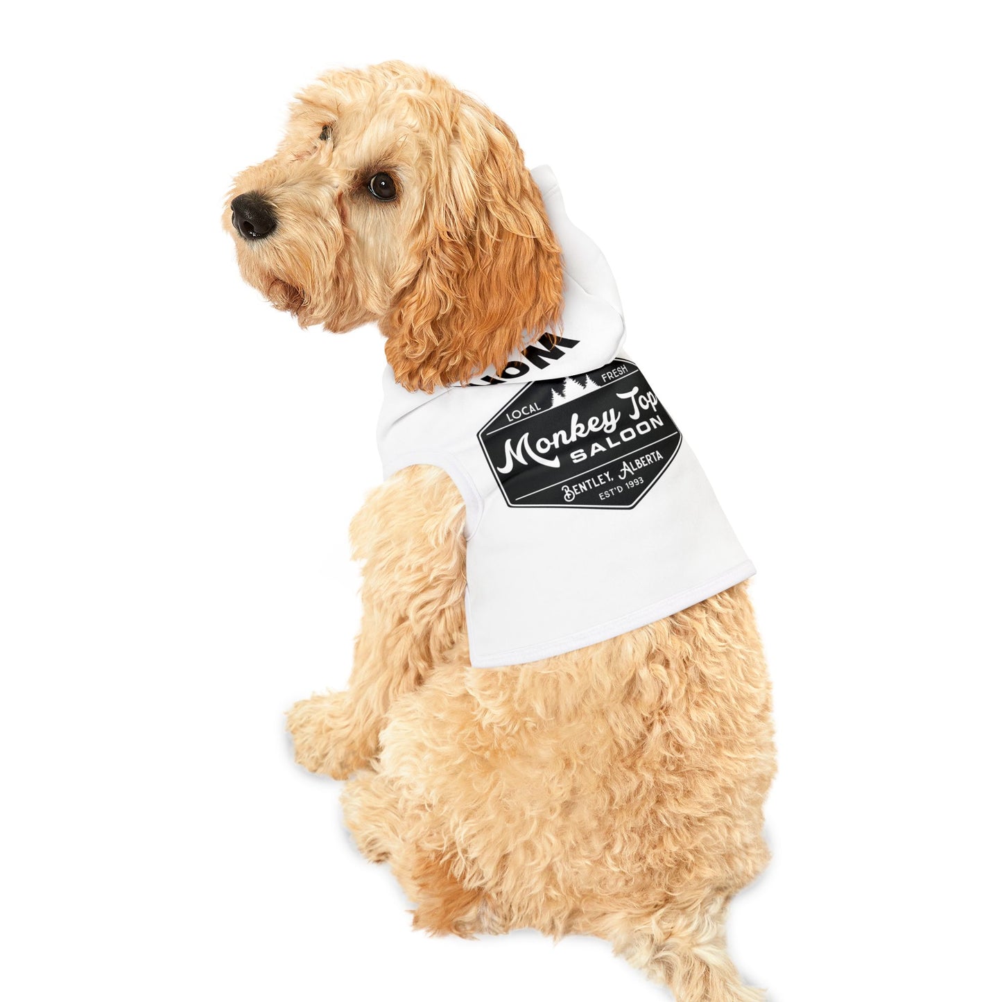 Pet Hoodie