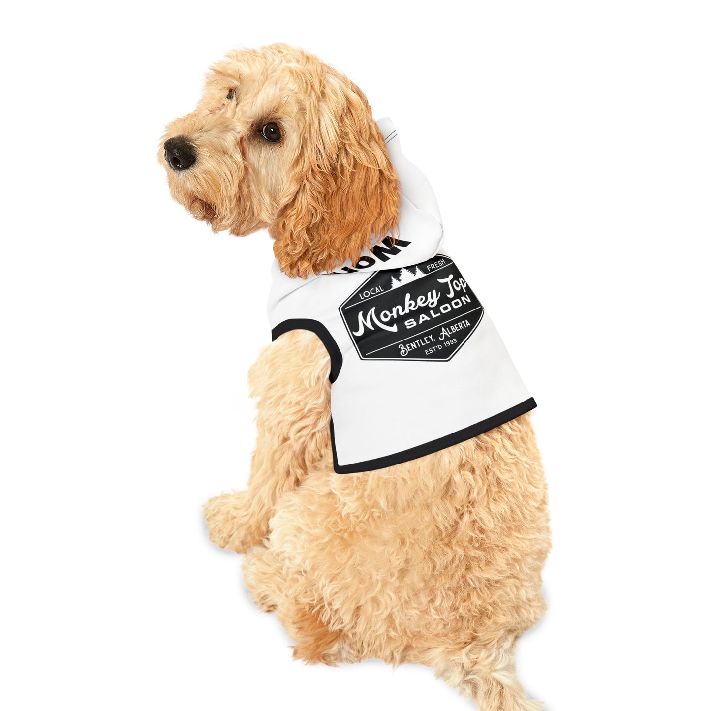 Pet Hoodie